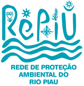 2018 03 repiu logo v1