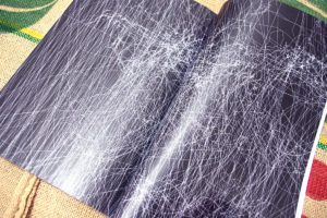 gd ed susanmorris 04